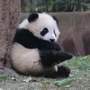 H亦36