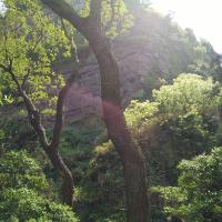 青春在手中