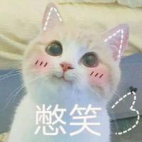 故事缺你