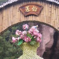 逝去青春