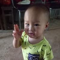 随遇而安