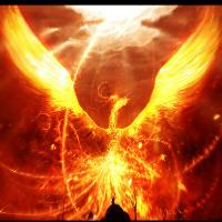 15***@qq.com