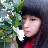 鱼儿