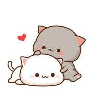 LOVEXO