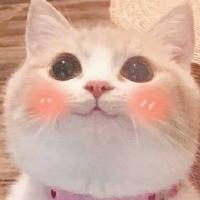 iD佛系