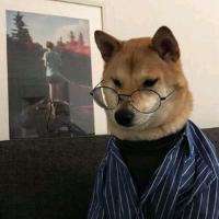 半生如梦