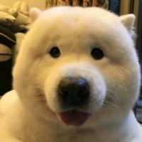 读书迷