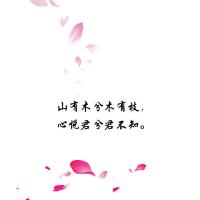 像雾像雨又像风
