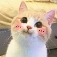 愿时光倒流