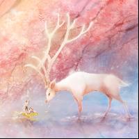樱の晴空